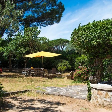 Charmante Petite Maison A L'Entree De Saint Tropez Екстер'єр фото